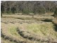 Groomsville QLD 4352