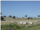 Groomsville QLD 4352