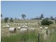 Groomsville QLD 4352