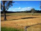 209 Felton Homestead Rd, Felton QLD 4358