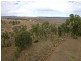145 Henningsen Road, Oakey QLD 4401