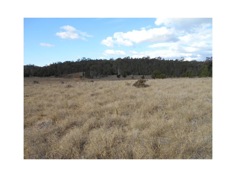 Lot 20 Broxburn-Linthorpe Road, Linthorpe QLD 4356