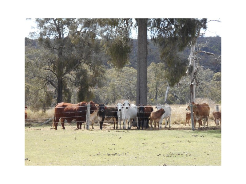 31 Macginleys Road, Greenmount East QLD 4359