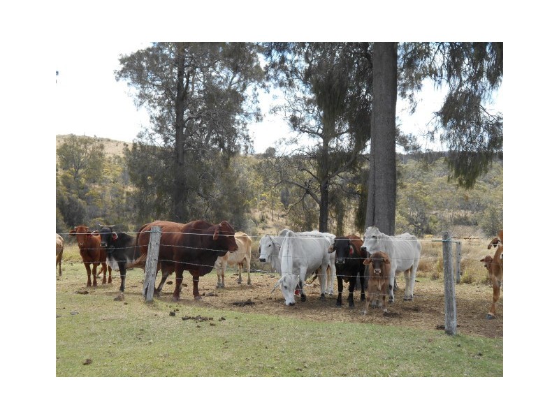 31 Macginleys Road, Greenmount East QLD 4359