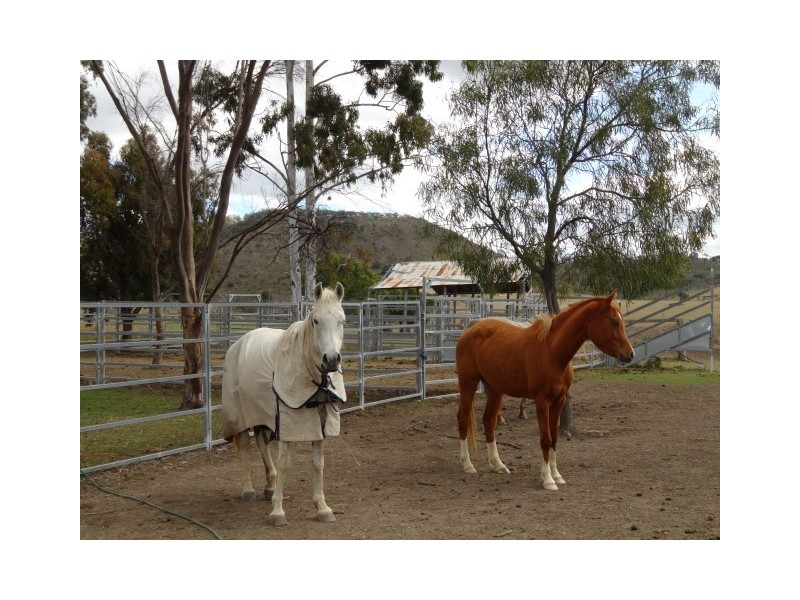 31 Macginleys Road, Greenmount East QLD 4359