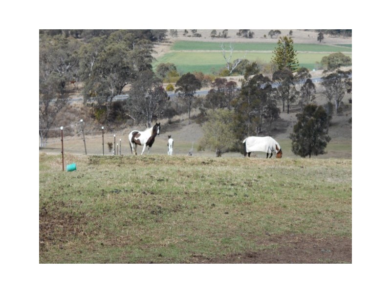 31 Macginleys Road, Greenmount East QLD 4359