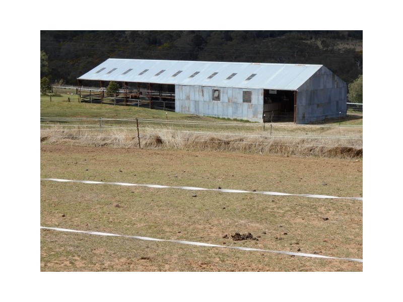 31 Macginleys Road, Greenmount East QLD 4359