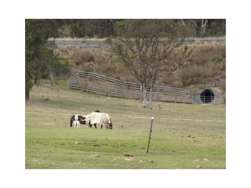 31 Macginleys Road, Greenmount East QLD 4359