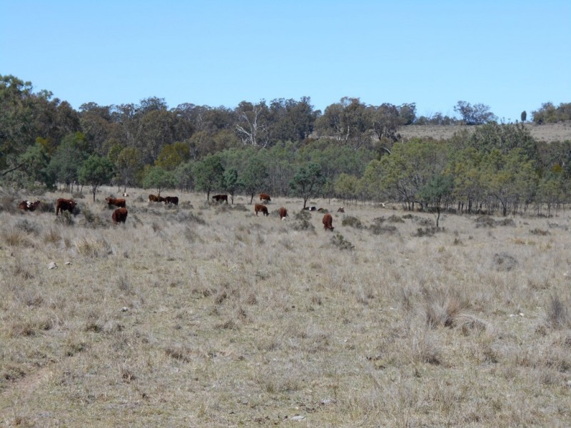 Lot 3 and 4 McCafferty Road, Groomsville QLD 4352