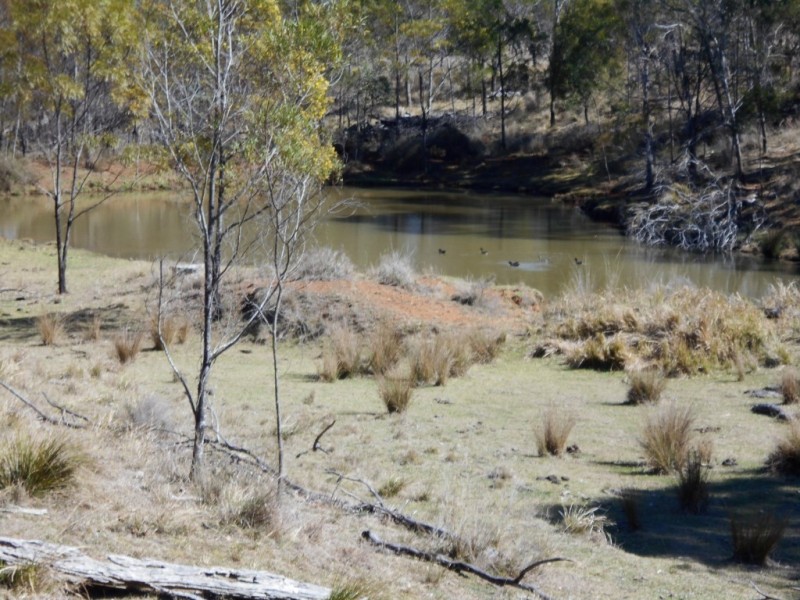 Lot 3 and 4 McCafferty Road, Groomsville QLD 4352