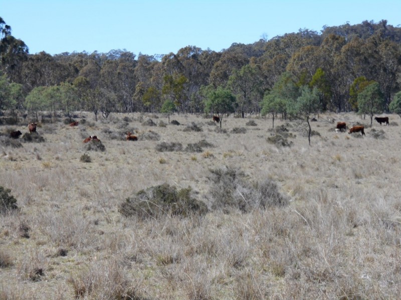 Lot 3 and 4 McCafferty Road, Groomsville QLD 4352