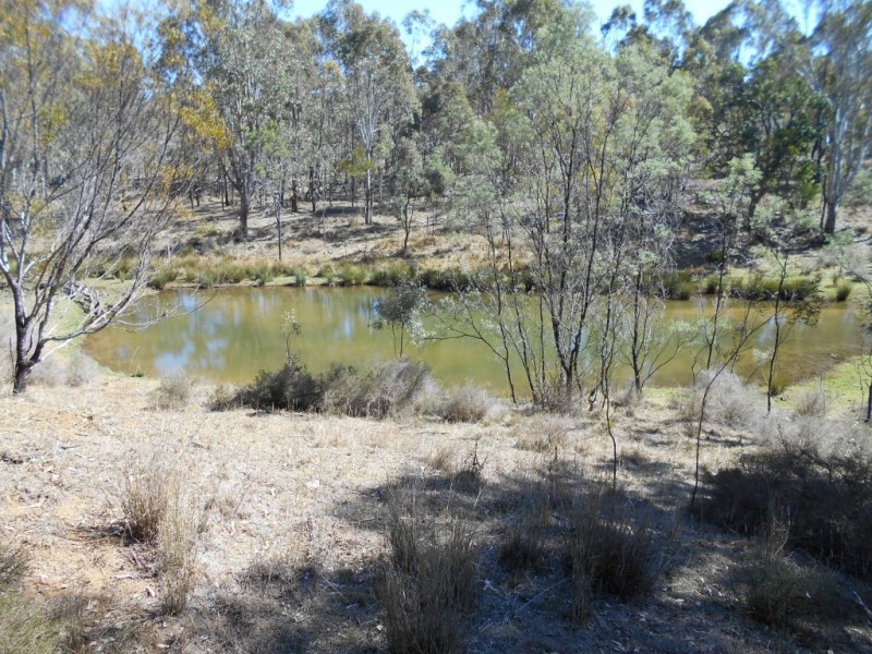 Lot 3 and 4 McCafferty Road, Groomsville QLD 4352