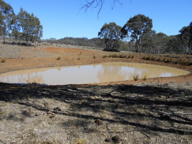 Lot 3 and 4 McCafferty Road, Groomsville QLD 4352