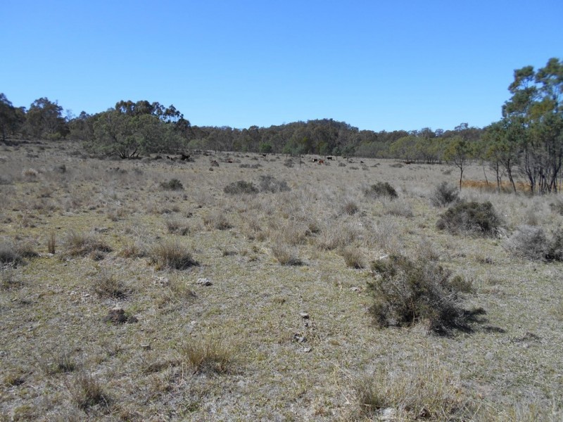 Lot 3 and 4 McCafferty Road, Groomsville QLD 4352