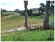 Douglas Park NSW 2569