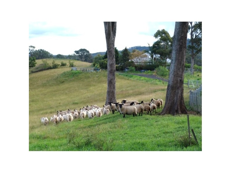 Douglas Park NSW 2569