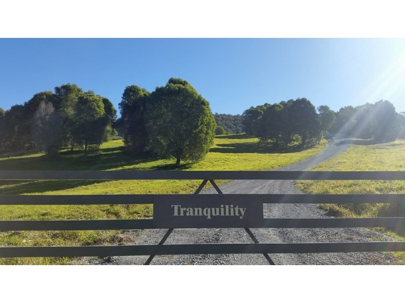 545 Austinville Road, Austinville QLD 4213