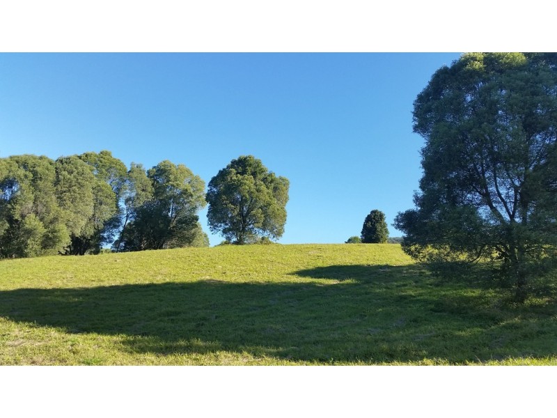 545 Austinville Road, Austinville QLD 4213