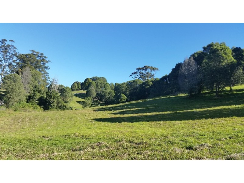 545 Austinville Road, Austinville QLD 4213