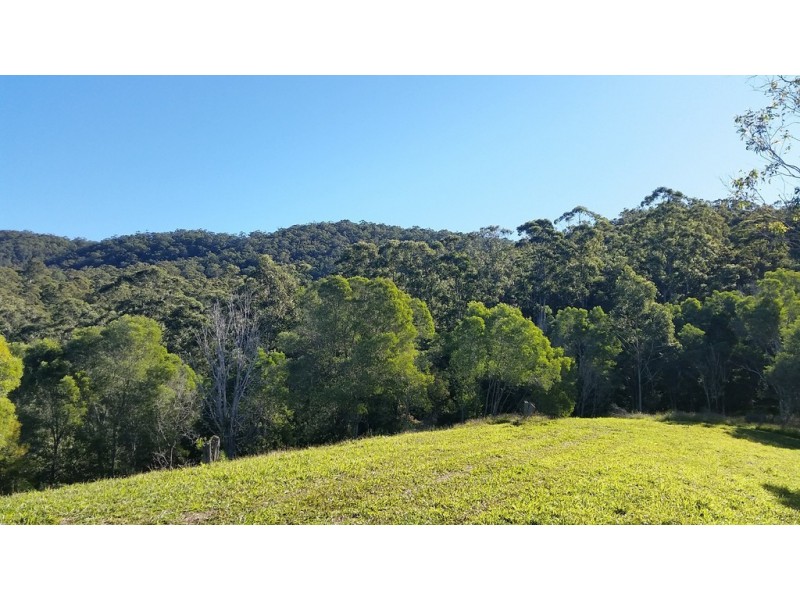 545 Austinville Road, Austinville QLD 4213