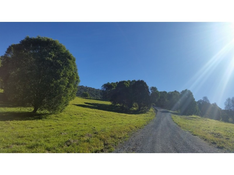 545 Austinville Road, Austinville QLD 4213