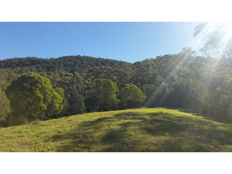 545 Austinville Road, Austinville QLD 4213