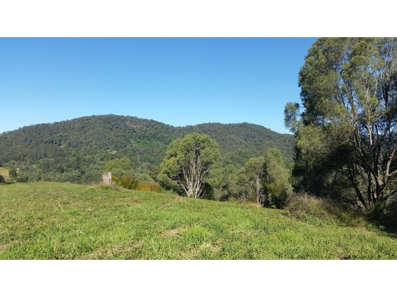 545 Austinville Road, Austinville QLD 4213