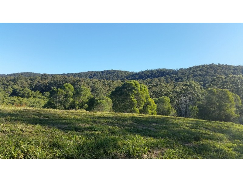 545 Austinville Road, Austinville QLD 4213