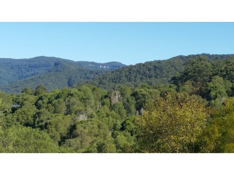 545 Austinville Road, Austinville QLD 4213