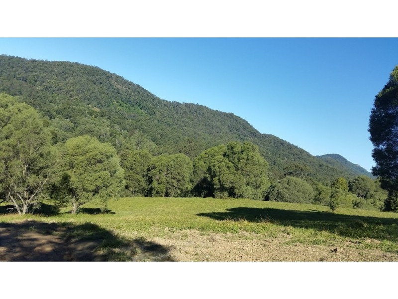 545 Austinville Road, Austinville QLD 4213