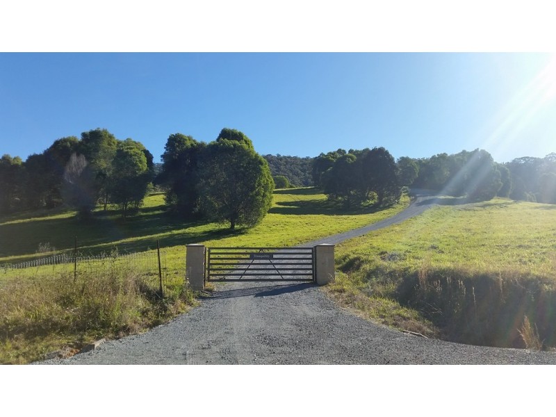 545 Austinville Road, Austinville QLD 4213