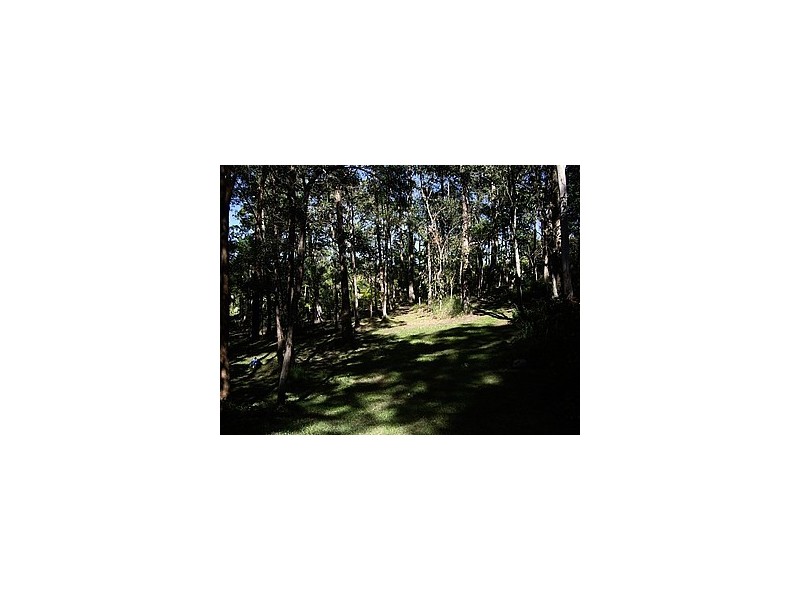 6 Talgarno Place, Tallai QLD 4213