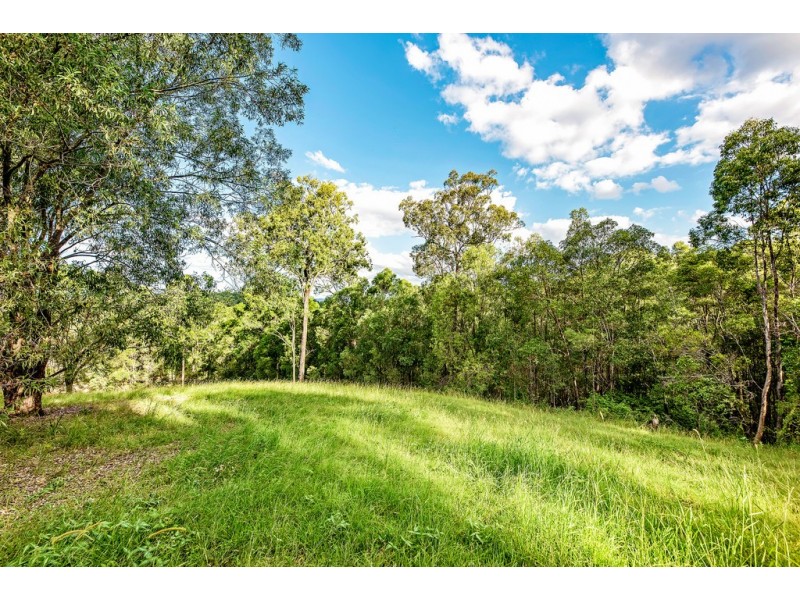 215 San Fernando Drive, Worongary QLD 4213