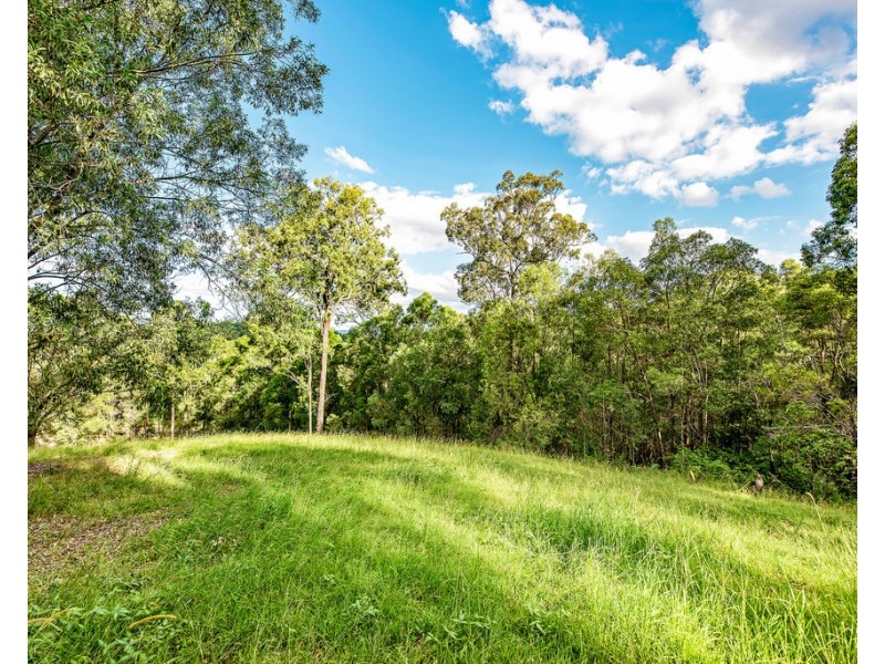 213 San Fernando Drive, Worongary QLD 4213
