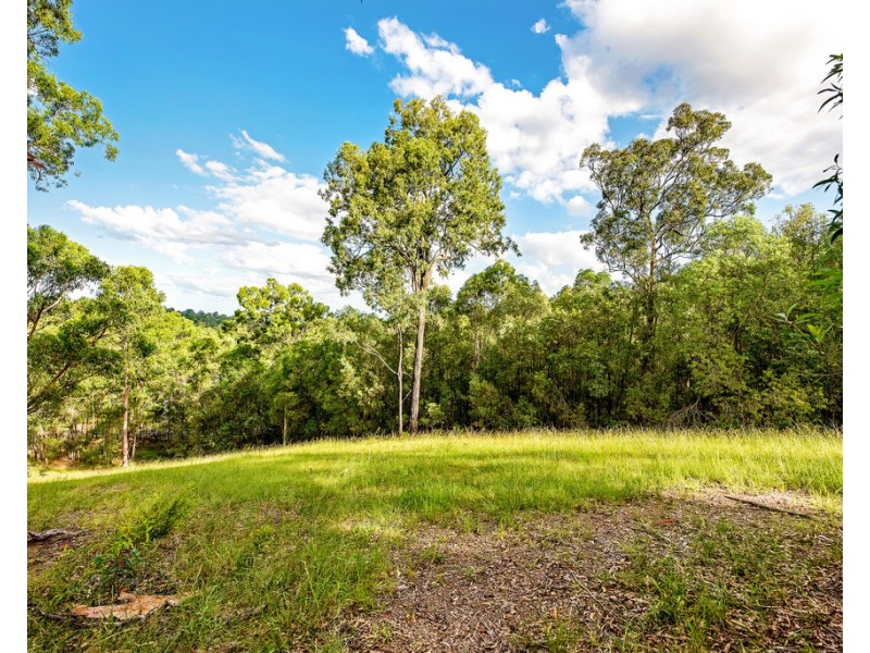 213 San Fernando Drive, Worongary QLD 4213