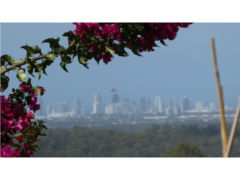 53 Uplands Court, Tallai QLD 4213