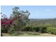 53 Uplands Court, Tallai QLD 4213