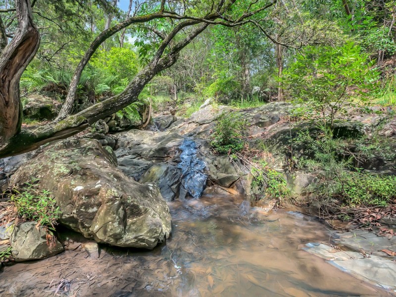 10 Coralcoast Drive, Tallai QLD 4213