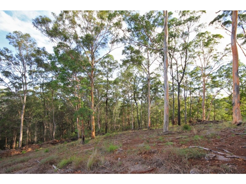 20 Lowry Court, Mudgeeraba QLD 4213