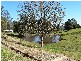 1838 Springbrook Road, Springbrook QLD 4213