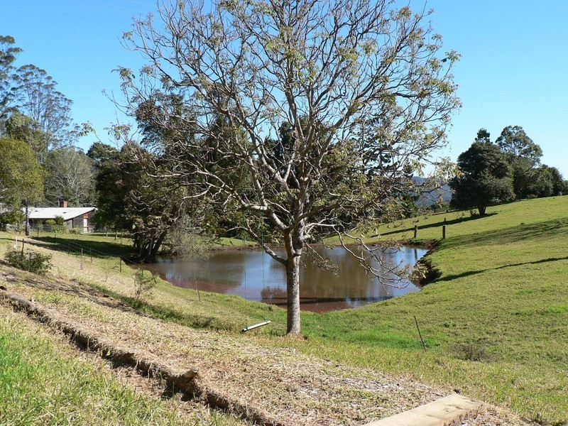 1838 Springbrook Road, Springbrook QLD 4213