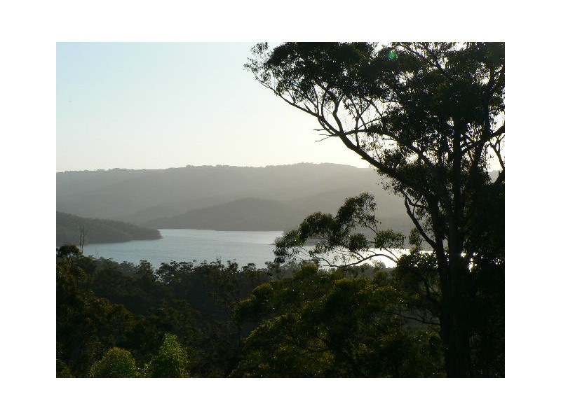 38 Red Oak Drive, Tallai QLD 4213