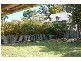24 Lloyds Road, Springbrook QLD 4213