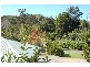 24 Lloyds Road, Springbrook QLD 4213