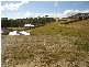 Mount Nathan QLD 4211