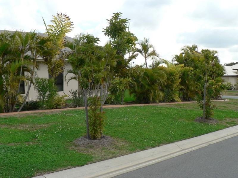 15 Ceil Circuit, Coomera QLD 4209