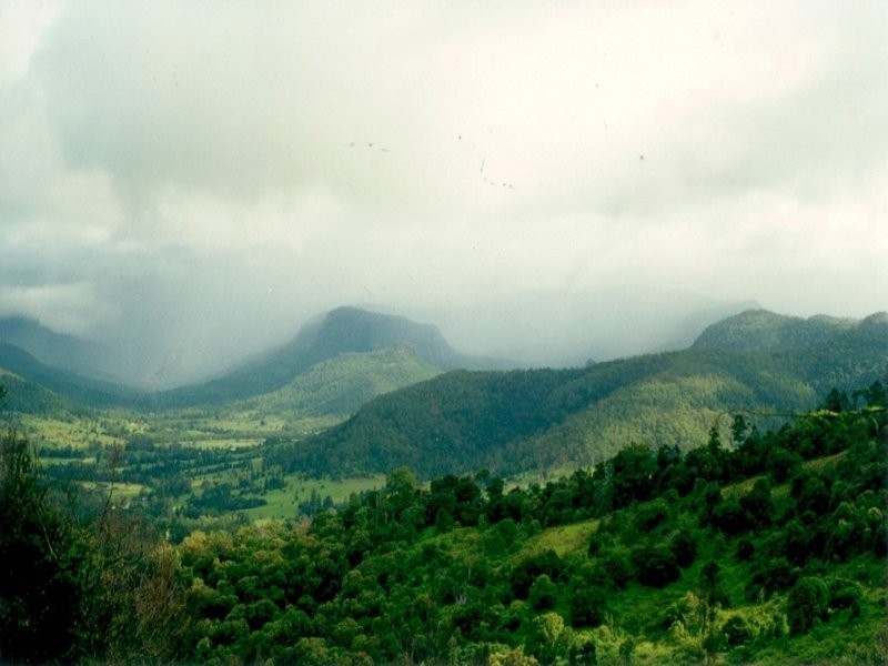 1469 Beechmont Road, Beechmont QLD 4211