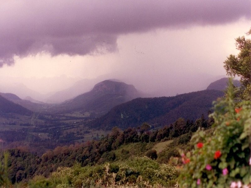 1469 Beechmont Road, Beechmont QLD 4211