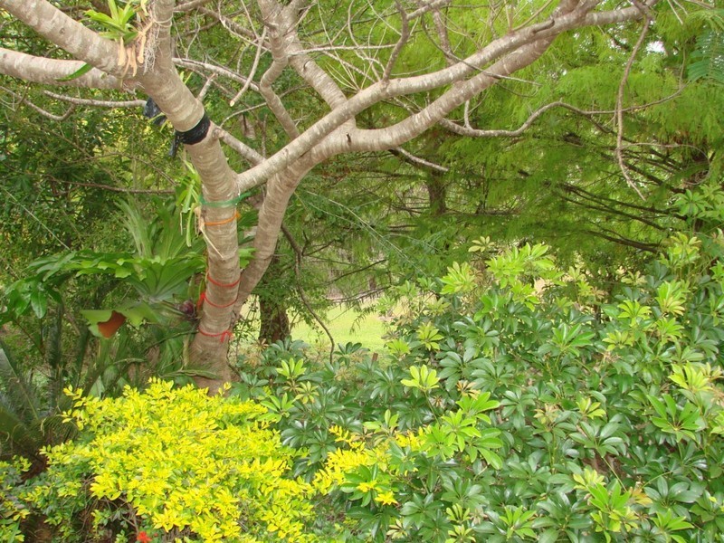 1 Strike Way, Mudgeeraba QLD 4213