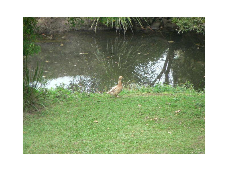 109 Mudgeeraba Road, Worongary QLD 4213